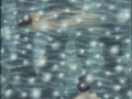 <em>Star Lake II</em>, 2010. Mixed media on canvas, 14 x 10 in. (36 x 27 cm)